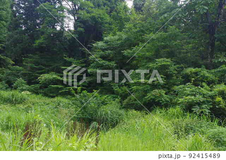 里ごころ 里ごころ 92415489