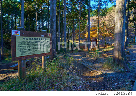 東京八王子市の高尾山から小仏城山に向かう途中にある明治の森高尾国定公園 92415534