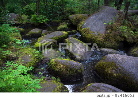 a mountain river with huge stones with green moss.wild forest of taiga. a mountain river with huge stones with green moss.wild forest of taiga. 92416053