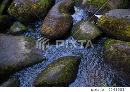 a mountain river with huge stones with green moss.wild forest of taiga. 92416054