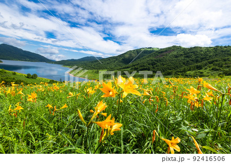 初夏の野反湖と新緑の八間山 92416506