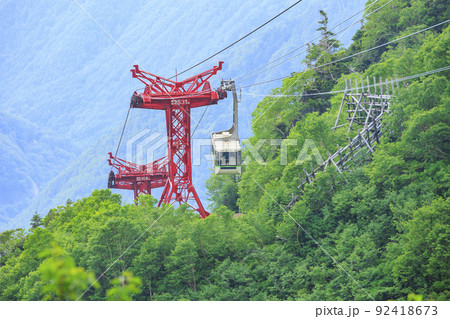 夏の千畳敷カール 満開の高山植物 夏の千畳敷カール 満開の高山植物 92418673