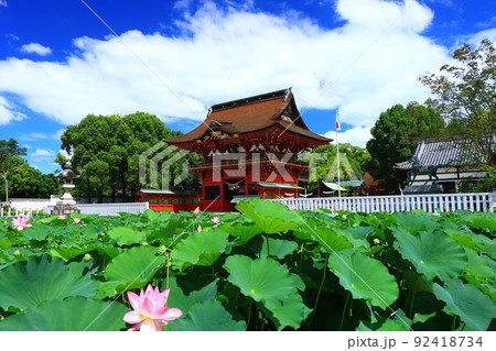 岡崎市、伊賀八幡宮と蓮の風景 岡崎市、伊賀八幡宮と蓮の風景 92418734