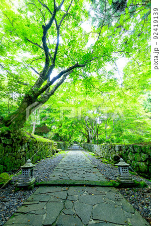 夏の両子寺 大分県国東市 夏の両子寺 大分県国東市 92419139