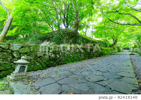 夏の両子寺 大分県国東市 夏の両子寺 大分県国東市 92419140
