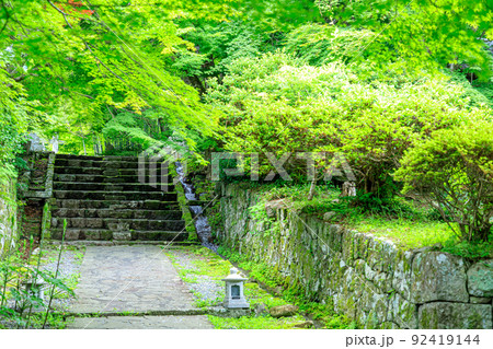 夏の両子寺 大分県国東市 夏の両子寺 大分県国東市 92419144