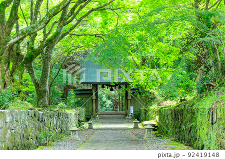 夏の両子寺 大分県国東市 夏の両子寺 大分県国東市 92419148