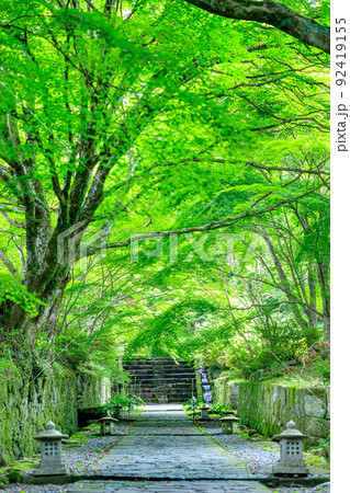 夏の両子寺　大分県国東市 92419155