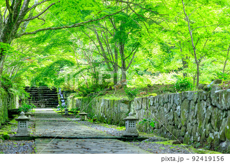 夏の両子寺　大分県国東市 92419156