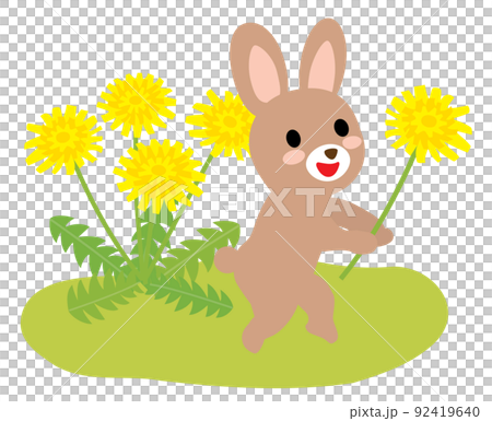 タンポポを持ったかわいいウサギ 92419640