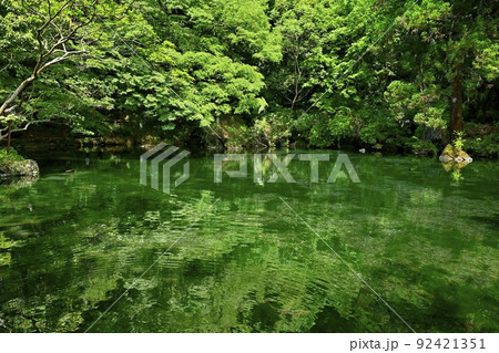 佐野市出流原町の湧水の弁天池 佐野市出流原町の湧水の弁天池 92421351