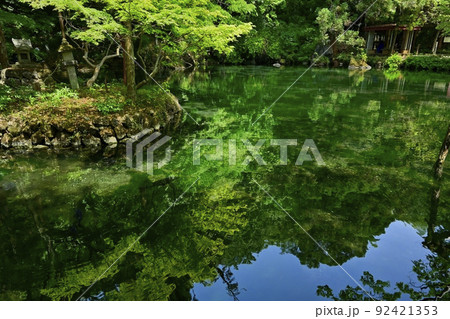 佐野市出流原町の湧水の弁天池 92421353
