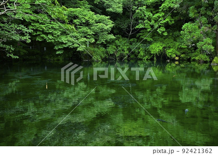佐野市出流原町の湧水の弁天池 92421362