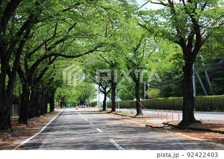 かしの森公園 92422403