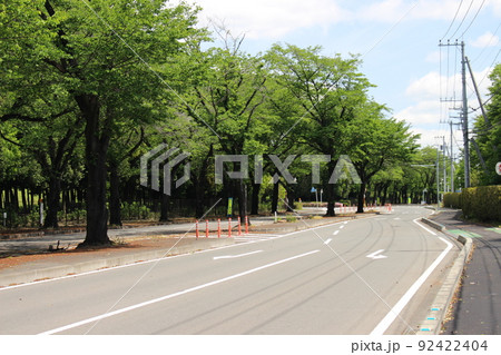 かしの森公園 かしの森公園 92422404