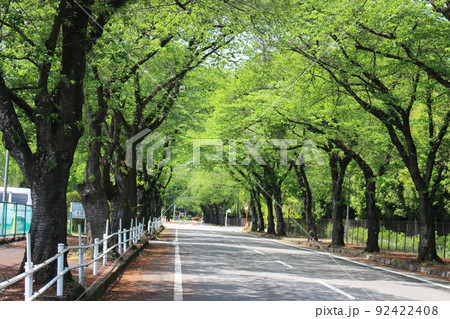 かしの森公園 かしの森公園 92422408