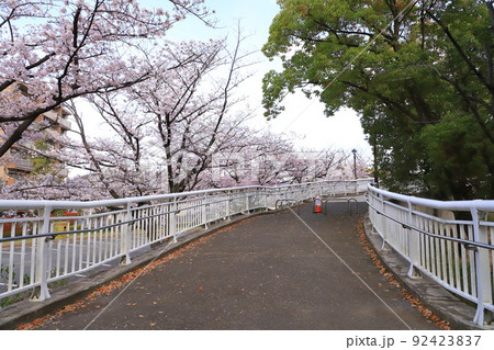 三枚田橋（さんまいだばし）　東京都足立区綾瀬 92423837