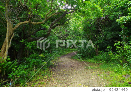 轟豪までの道(沖縄・糸満) 轟豪までの道(沖縄・糸満) 92424449