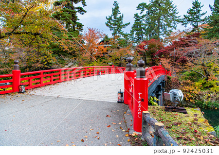青森県 弘前城 ~紅葉の杉の大橋~ 青森県 弘前城 ~紅葉の杉の大橋~ 92425031