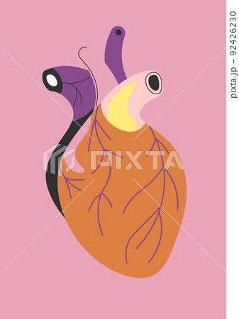 Human heart realistic anatomic part of body vector 92426230