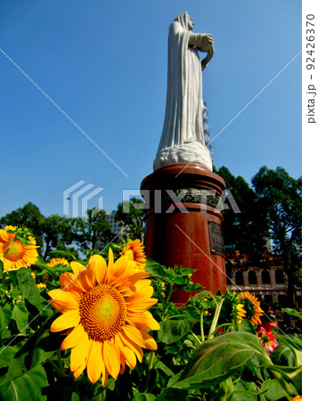 ベトナム・ホーチミン・聖マリア教会の歳暮マリア像とひまわり 92426370
