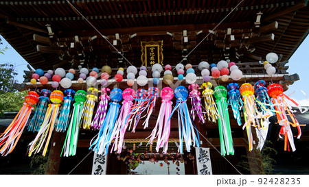 宮地嶽神社 光の道 風景 92428235