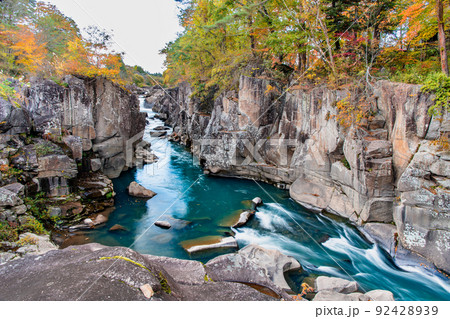 岩手県一関市　紅葉に染まる厳美渓 92428939