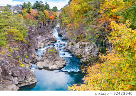岩手県一関市　紅葉に染まる厳美渓 92428940