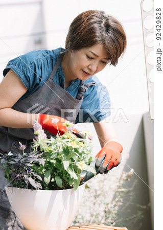 寄せ植え・ガーデニングをする女性 寄せ植え・ガーデニングをする女性 92429828