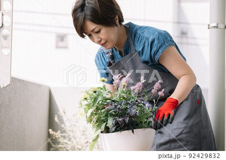 寄せ植え・ガーデニングをする女性 寄せ植え・ガーデニングをする女性 92429832