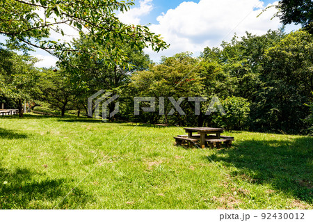 東京都瑞穂町　六道山公園のベンチテーブルで森林浴 92430012