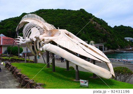 太地町立くじらの博物館 太地町立くじらの博物館 92431196