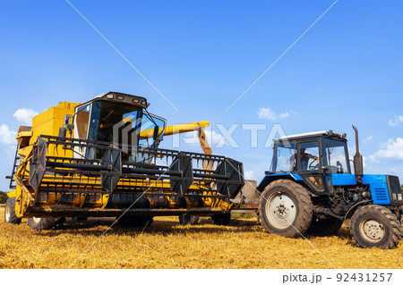 combine harvester and tractor with carriage in ripe wheat field 92431257