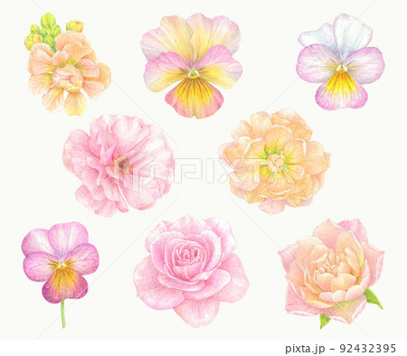 パステルカラーのお花達 村上隆 パステルカラーのお花達のフリマアイテム一覧