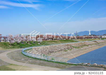 大阪府狭山池公園の春の風景 92433135