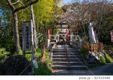 熊野若王子神社の春 92433486