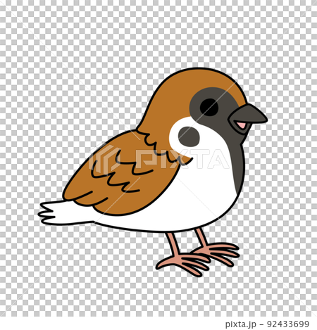 簡單可愛的麻雀插圖白色背景矢量與主線剪貼畫 簡單可愛的麻雀插圖白色背景矢量與主線剪貼畫 92433699