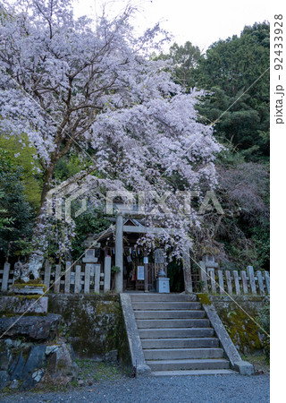 大豊神社　狛ねずみの社 92433928