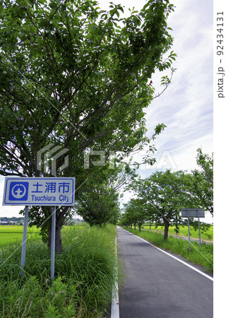 夏のつくばりんりんロード 92434131