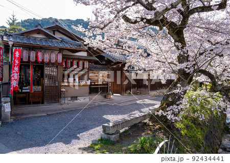 哲学の道 幸せ地蔵 哲学の道 幸せ地蔵 92434441
