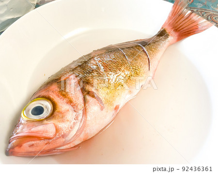 メバル(調理済) メバル(調理済) 92436361