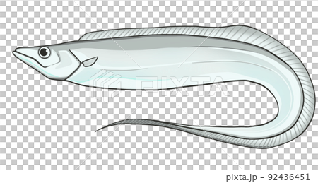 太刀魚　イラスト 92436451