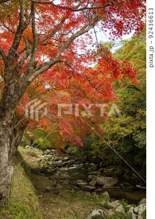 紅葉の名所 豪渓 紅葉の名所 豪渓 92436613
