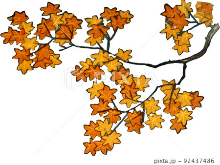 紅葉の木2 92437486