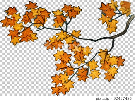 紅葉の木2 92437486