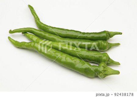 伏見甘長唐辛子 92438178
