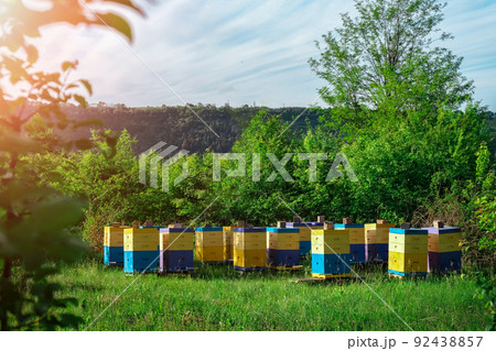 Eco-friendly apiary. An apiary where ecologically clean honey and other beekeeping products are obtained. Advantages of polyurethane hives. Top views. 92438857