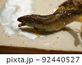 鮎の塩焼き 92440527