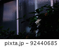 暗い背景の白い花 92440685