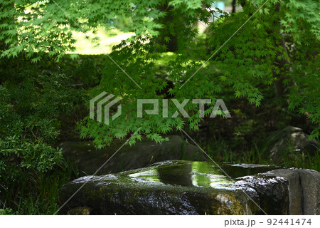 緑の下で溢れる水 92441474